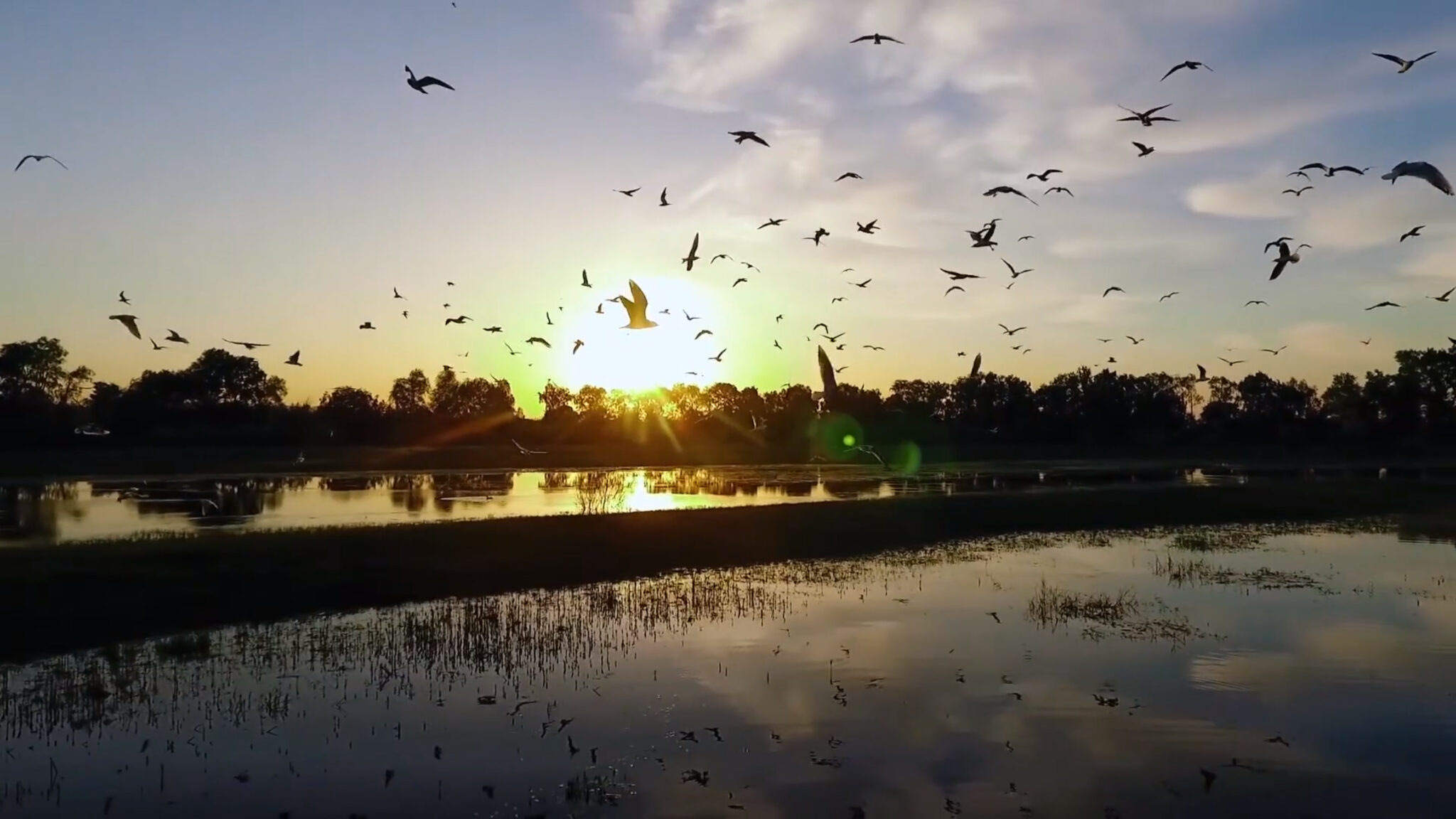 Video Presentation for Frankfurt Zoological Society Landscape Footage birds sunset